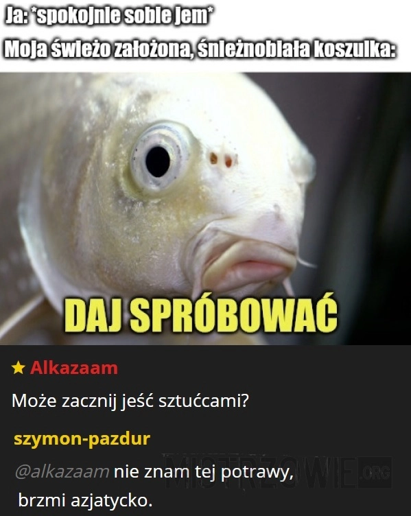 
    Koszulka