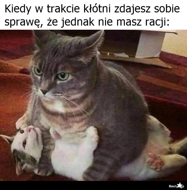 
    Lepiej późno, niż wcale