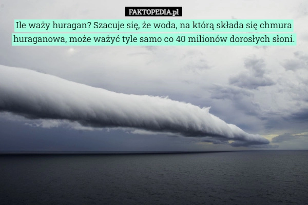 
    Ile waży huragan? Szacuje się, że woda, na którą składa się chmura huraganowa,