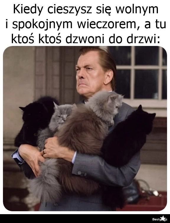 
    Kto śmie przeszkadzać 