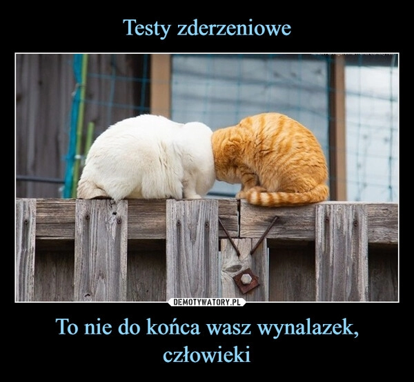 
    Testy zderzeniowe To nie do końca wasz wynalazek, człowieki