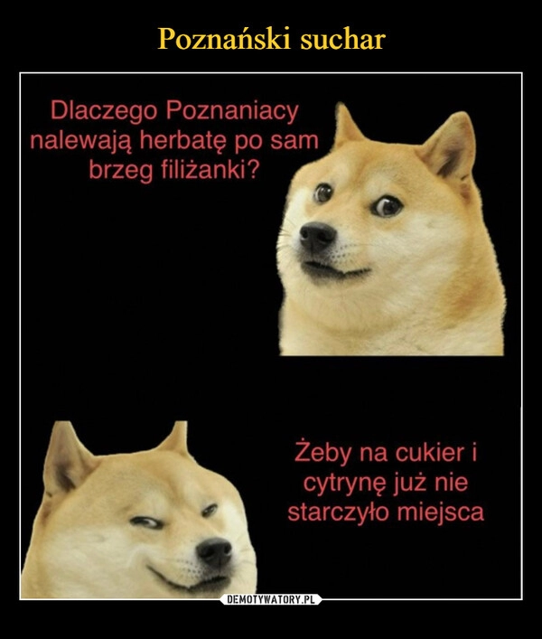 
    Poznański suchar 