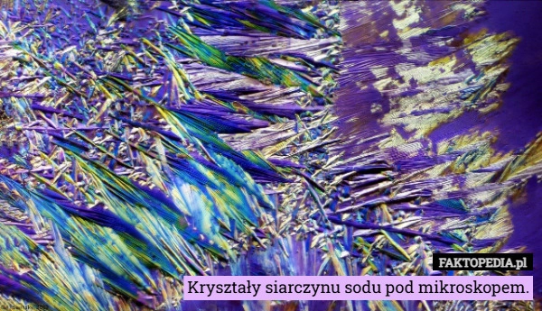 
    Kryształy siarczynu sodu pod mikroskopem.