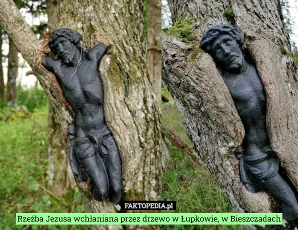
    Rzeźba Jezusa wchłaniana przez drzewo w Łupkowie, w Bieszczadach