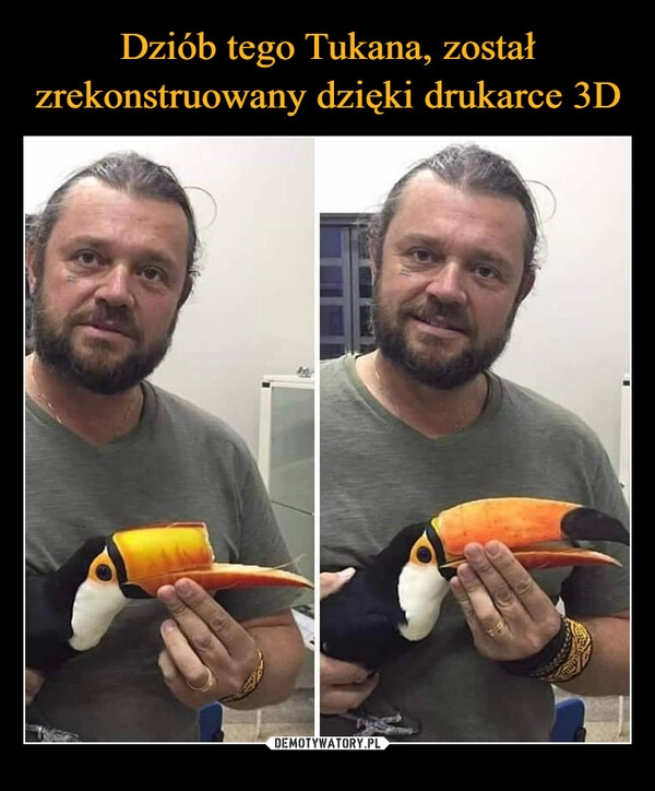 
    Dziób tego Tukana, został zrekonstruowany dzięki drukarce 3D