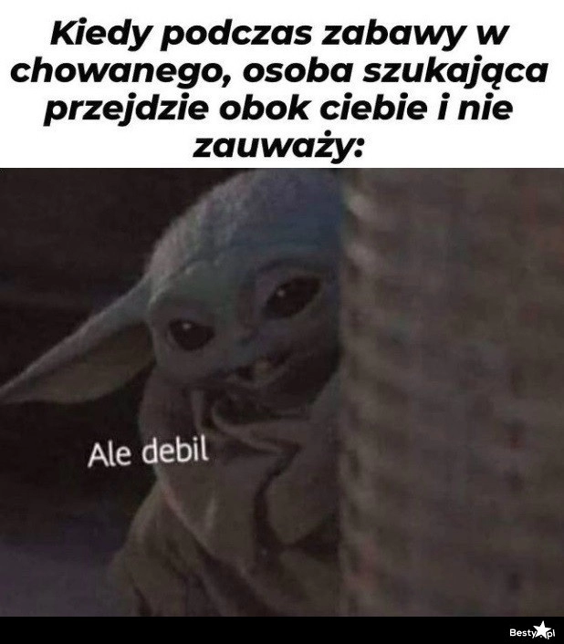 
    Zabawa w chowanego 