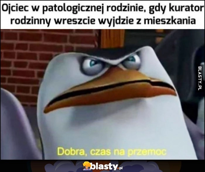 
    Ojciec w patologicznej rodzinie, gdy kurator rodzinny wreszcie wyjdzie z mieszkania: dobra, czas na przemoc pingwin Kowalski