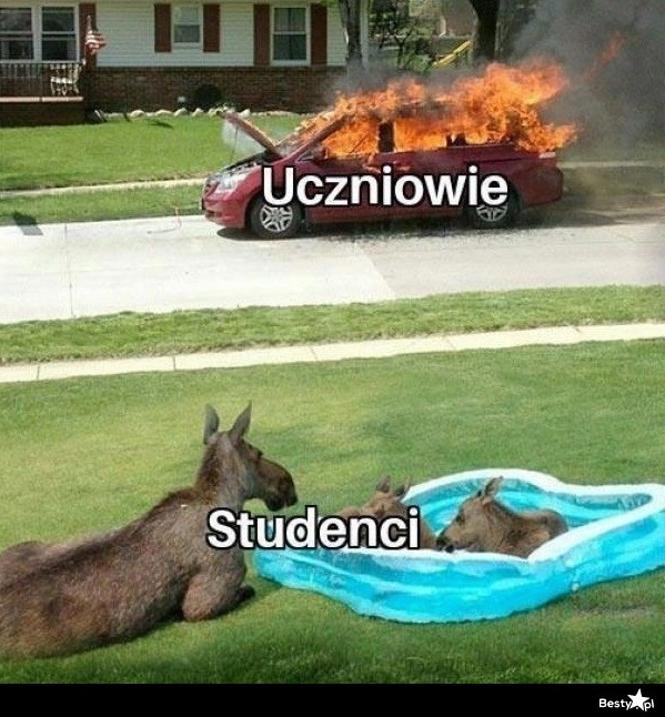 
    Studenci 