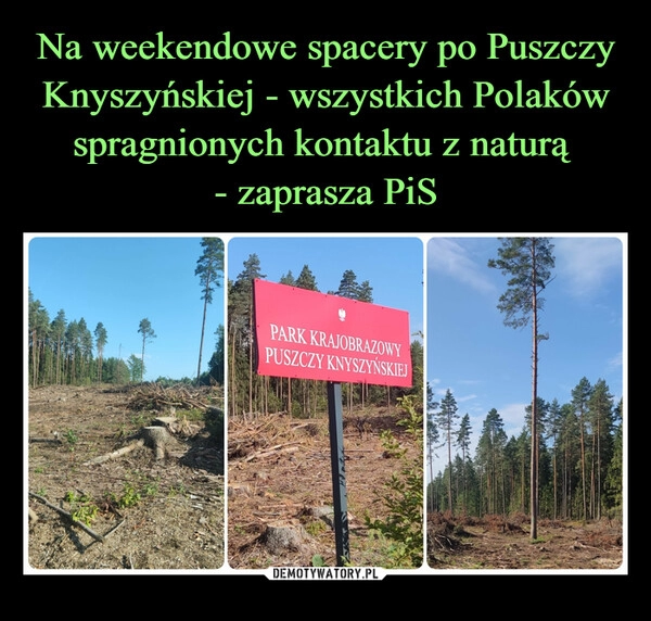 
    Na weekendowe spacery po Puszczy Knyszyńskiej - wszystkich Polaków spragnionych kontaktu z naturą 
- zaprasza PiS