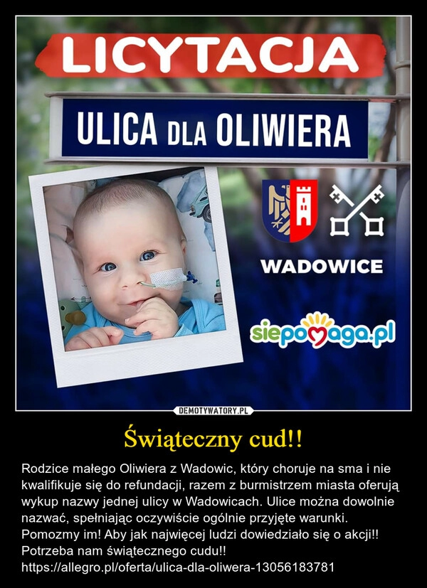 
    
Świąteczny cud!! 