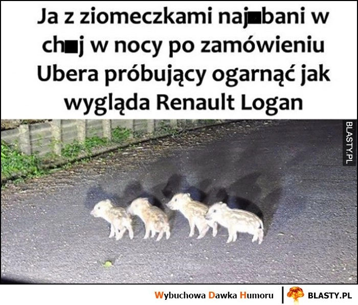 
    Ja z ziomeczkami nawaleni w nocy po zamówieniu Ubera próbujący ogarnąć jak wygląda Renault Logan dziki świnie