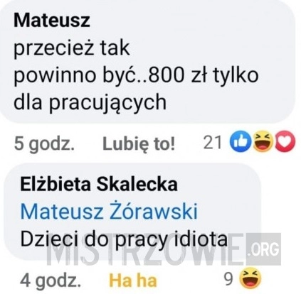 
    800 zł