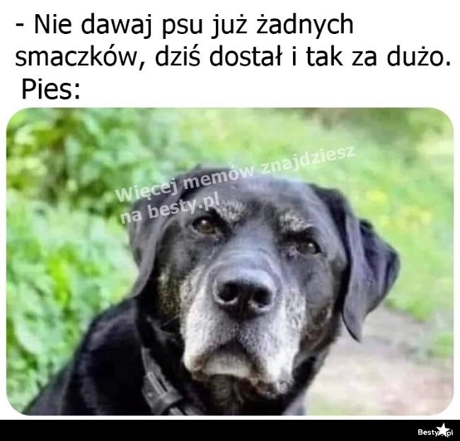 
    Jakby zrozumiał 