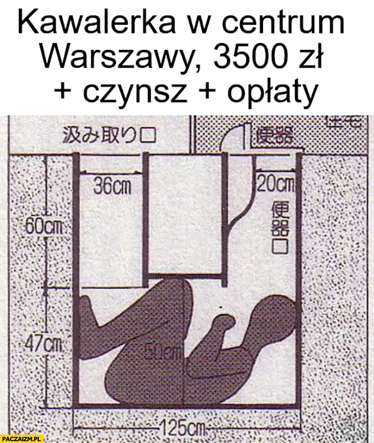 
    Kawalerka w centrum Warszawy 3500 zł plus czynsz, opłaty