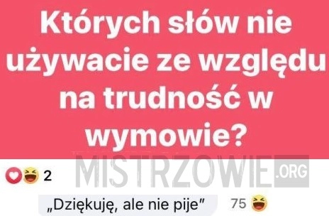 
    Słowa