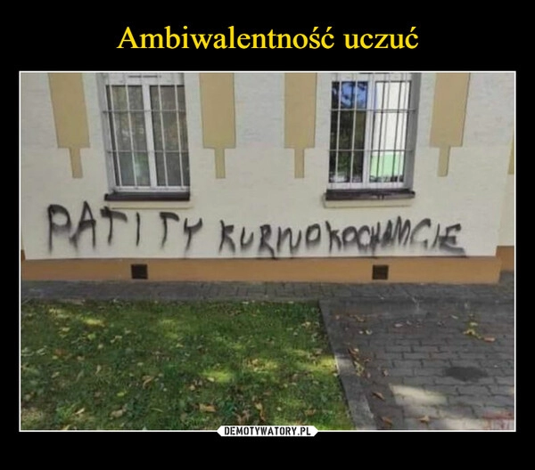 
    
Ambiwalentność uczuć 