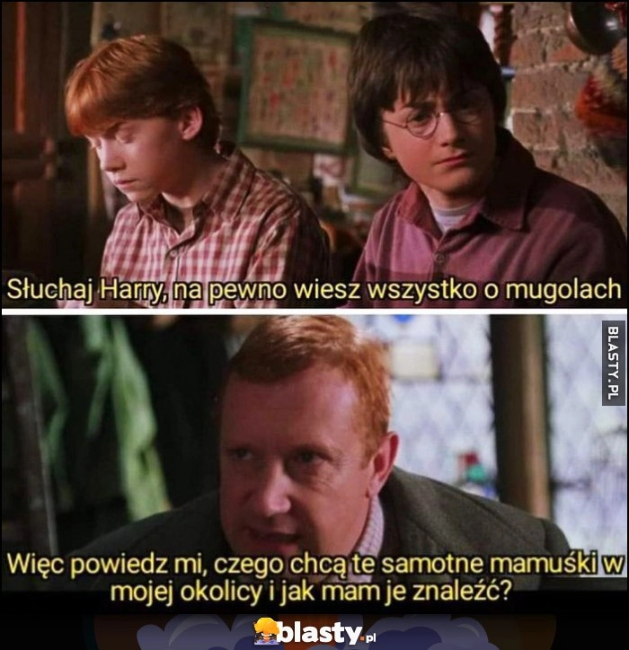 
    Harry Potter, słuchaj na pewno wiesz wszystko o mugolach, powiedz mi czego chcą te samotne mamuśki w mojej okolicy i jak mam je znaleźć?