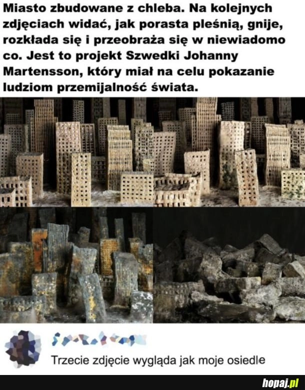 
    Moje osiedle
