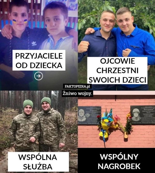 
    Żniwo wojny.