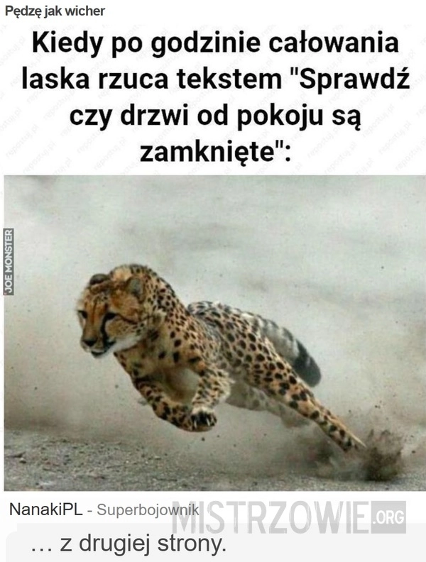 
    Pędzę jak wicher