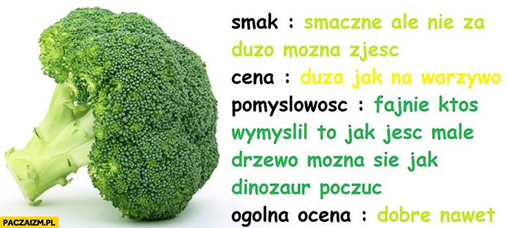 
    Brokuł recenzja. Smak: smaczne, ale nie za dużo można zjeść, cena: duża jak na warzywo, pomysłowość fajnie ktoś wymyślił, to jak jeść małe drzewo, ogólna ocena: dobre nawet