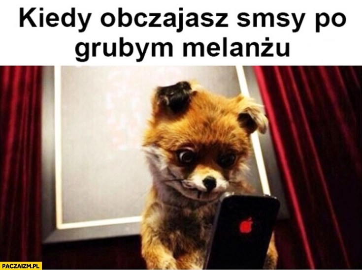 
    Kiedy obczajasz SMSy po grubym melanżu lis