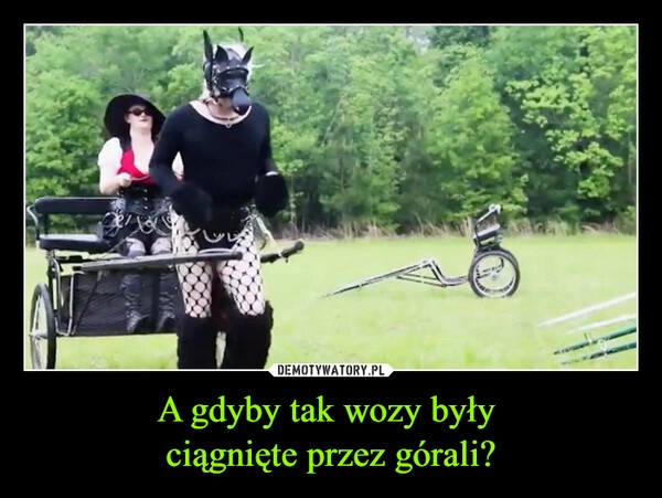 
    A gdyby tak wozy były 
ciągnięte przez górali?