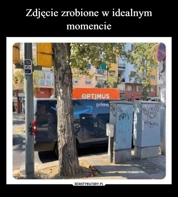 
    Zdjęcie zrobione w idealnym momencie 