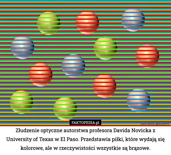 
    Złudzenie optyczne autorstwa profesora Davida Novicka z University of Texas