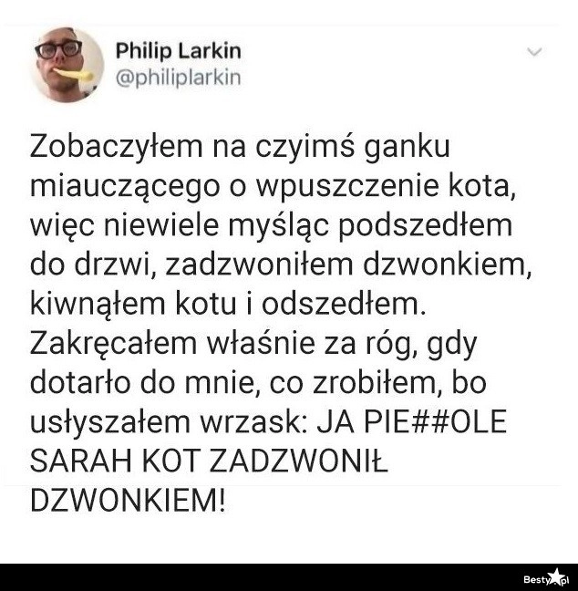 
    Coraz mądrzejsze te koty 