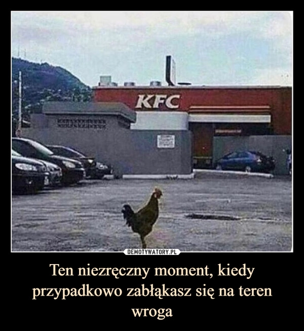 
    Ten niezręczny moment, kiedy przypadkowo zabłąkasz się na teren wroga