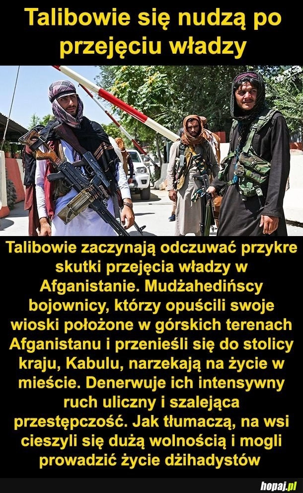 
    Znudzeni Talibowie