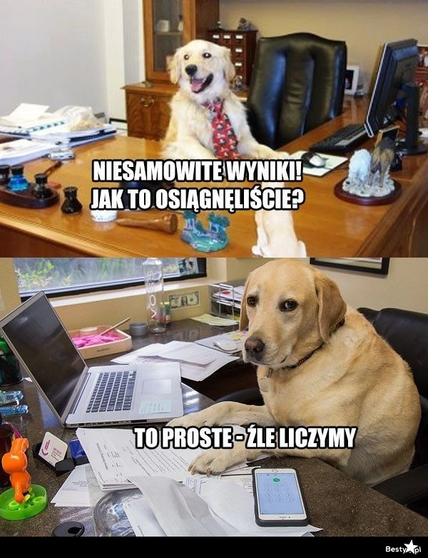 
    Niesamowite wyniki 