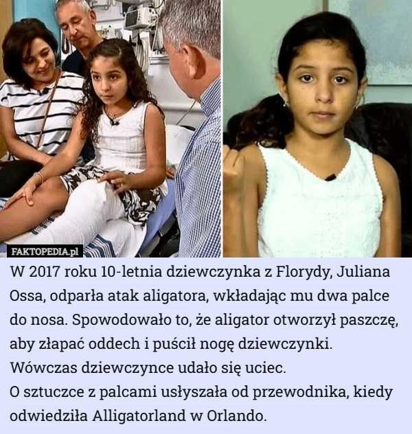 
    W 2017 roku 10-letnia dziewczynka z Florydy, Juliana Ossa, odparła atak...