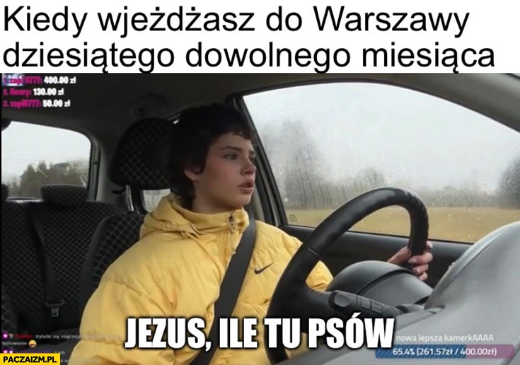 
    Sidneuke potrąciła psa kiedy wjeżdżasz do Warszawy dziesiątego dowolnego miesiąca Jezu ile tu psów miesięcznica Smoleńska