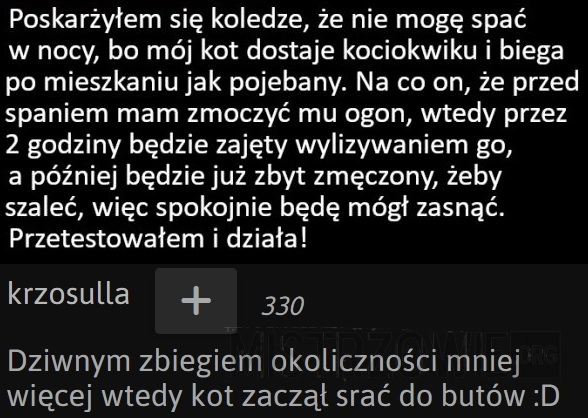 
    
			Kocie ogonki, strzeżcie się!					