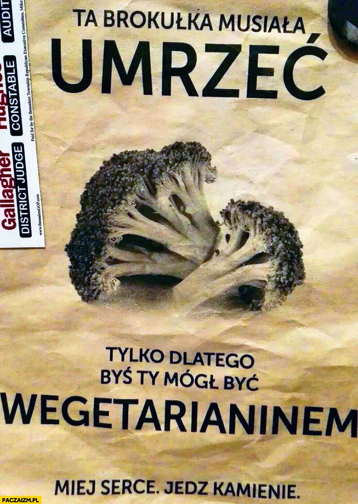 
    Ta brokułka musiała umrzeć tylko dlatego byś Ty mógł być wegetarianinem, miej serce jedz kamienie plakat