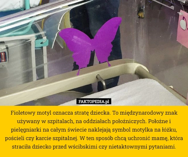 
    Fioletowy motyl oznacza stratę dziecka. To międzynarodowy znak używany w