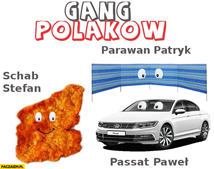 
    Gang Polaków parawan Patryk, Schab Stefan, Passat Paweł