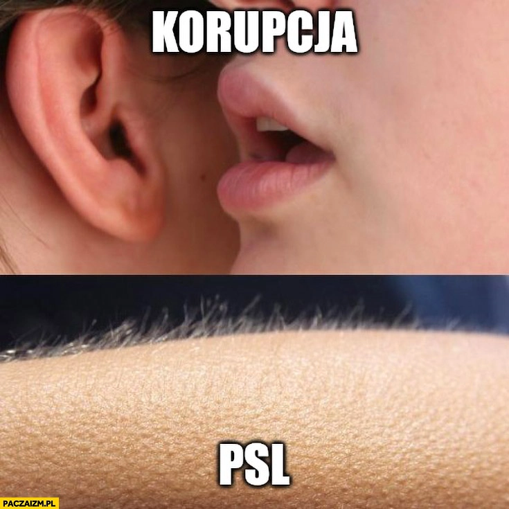 
    Mówi na ucho korupcja PSL dostaje gęsiej skórki