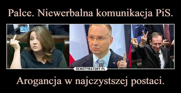 
    Palce. Niewerbalna komunikacja PiS. Arogancja w najczystszej postaci.