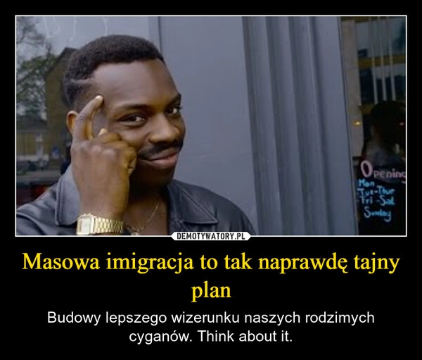 
    Masowa imigracja to tak naprawdę tajny plan