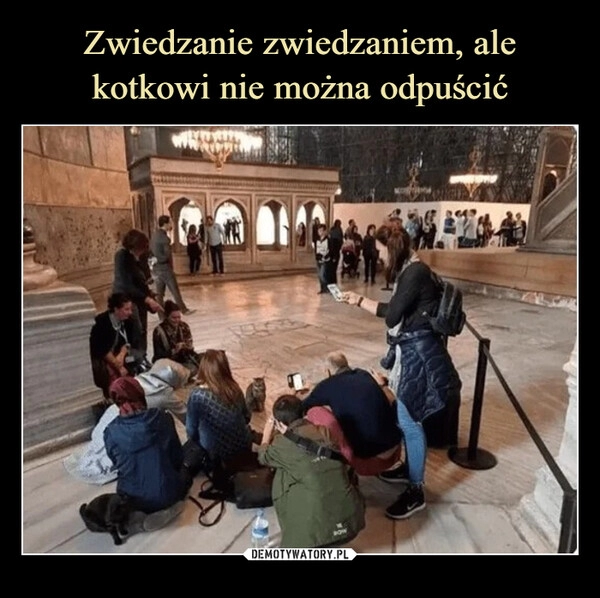 
    Zwiedzanie zwiedzaniem, ale kotkowi nie można odpuścić