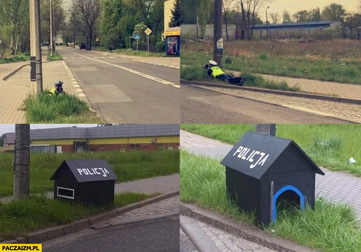 
    Policjant leży w trawie z fotoradarem, ludzie zbudowali mu w tym miejscu budę