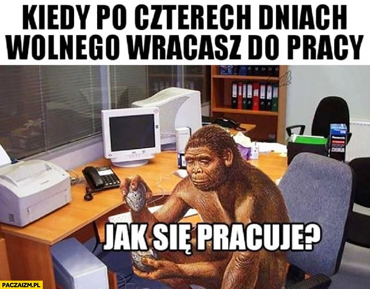 
    Kiedy po czterech dniach wolnego wracasz do pracy człowiek pierwotny jak się pracuje