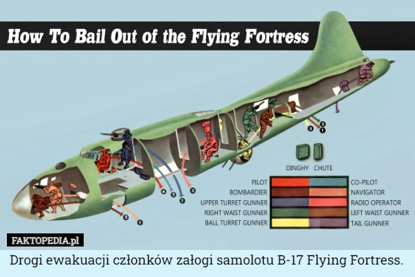 
    Drogi ewakuacji członków załogi samolotu B-17 Flying Fortress.