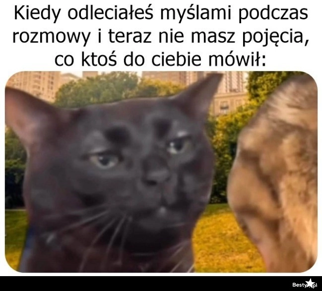 
    Przepraszam, możesz powtórzyć? 