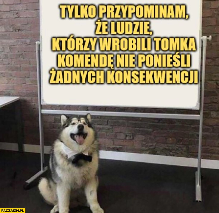 
    Tylko przypominam, że ludzie którzy wrobili Tomka Komendę nie ponieśli żadnych konsekwencji