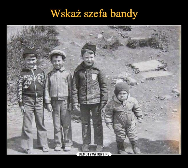 
    Wskaż szefa bandy 