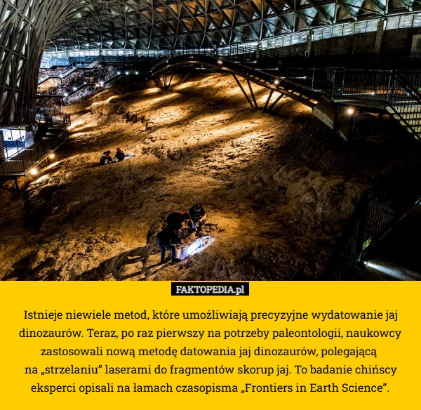 
    Istnieje niewiele metod, które umożliwiają precyzyjne wydatowanie jaj dinozaurów.
